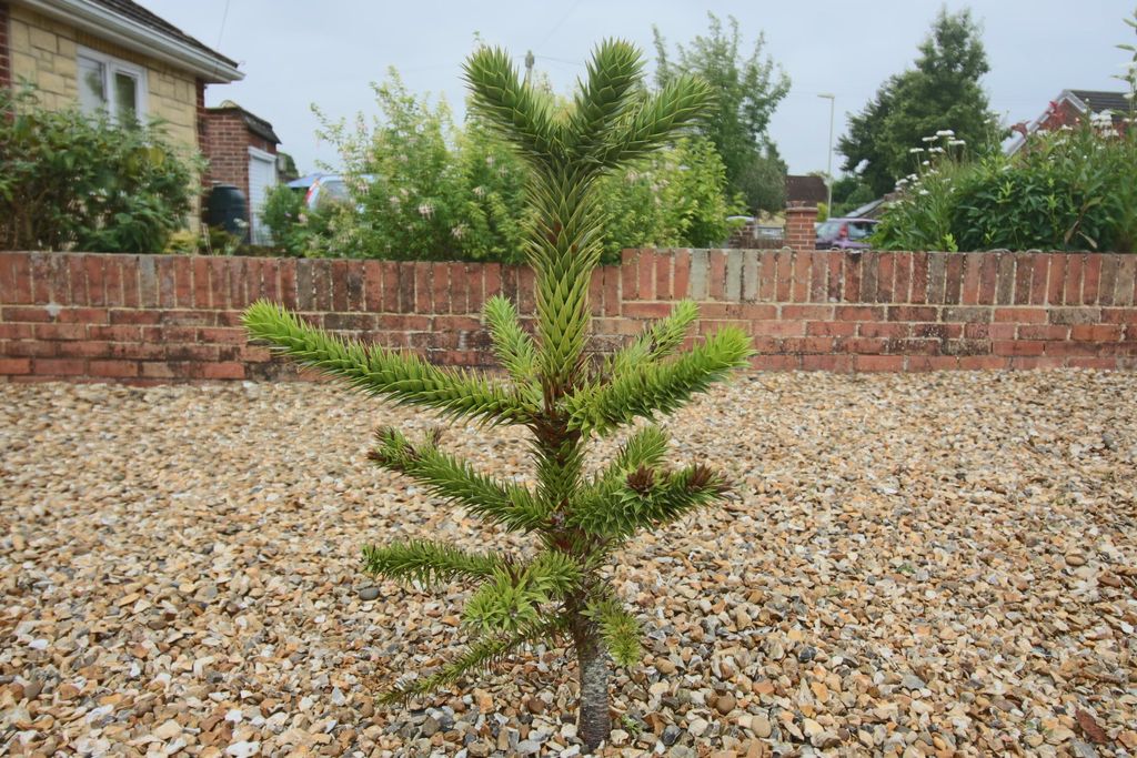 Property photo 3 of 10 Img_3402