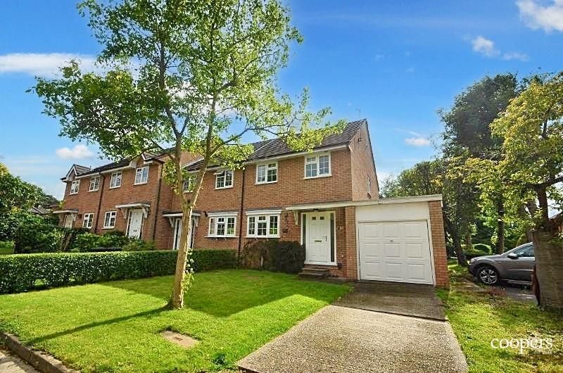 Property photo 1 of 12 Xjiwdqsafqvdq5Bfxk1Jl40We9O.Jpg