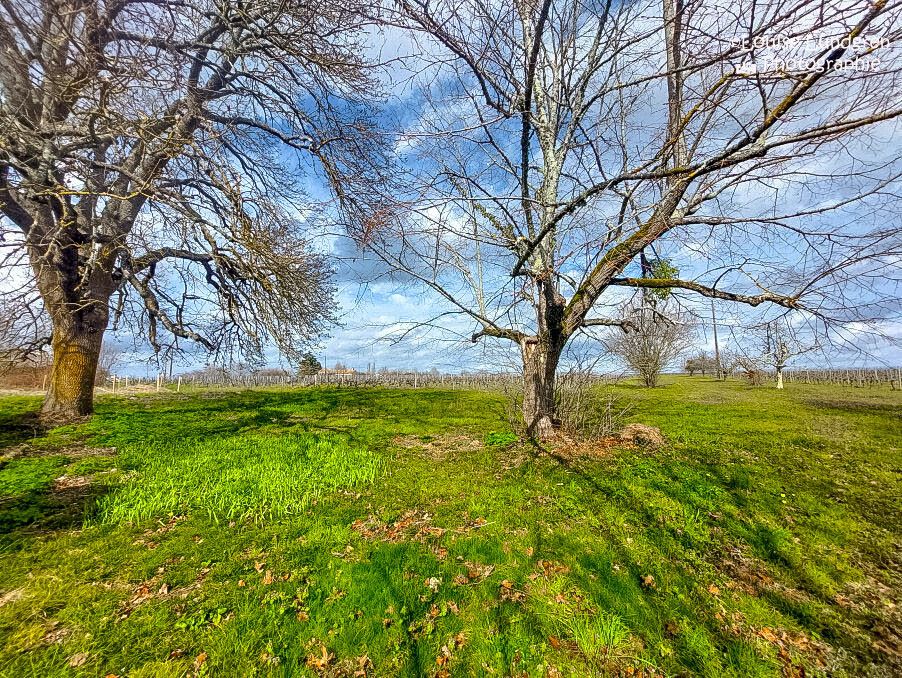 Property photo 2 of 3