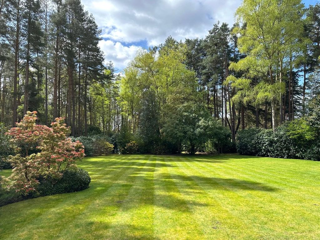 Property photo 3 of 26 Garden