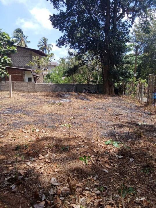 Property photo 2 of 10