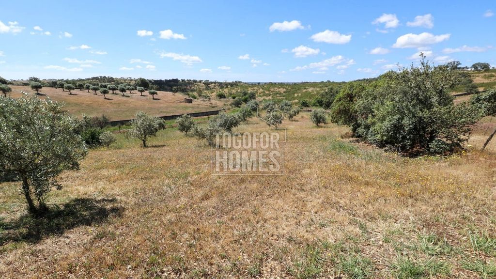Property photo 2 of 25