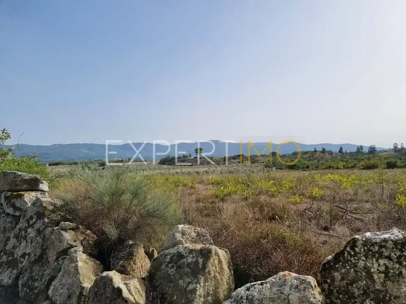 Property photo 3 of 9 Img 2