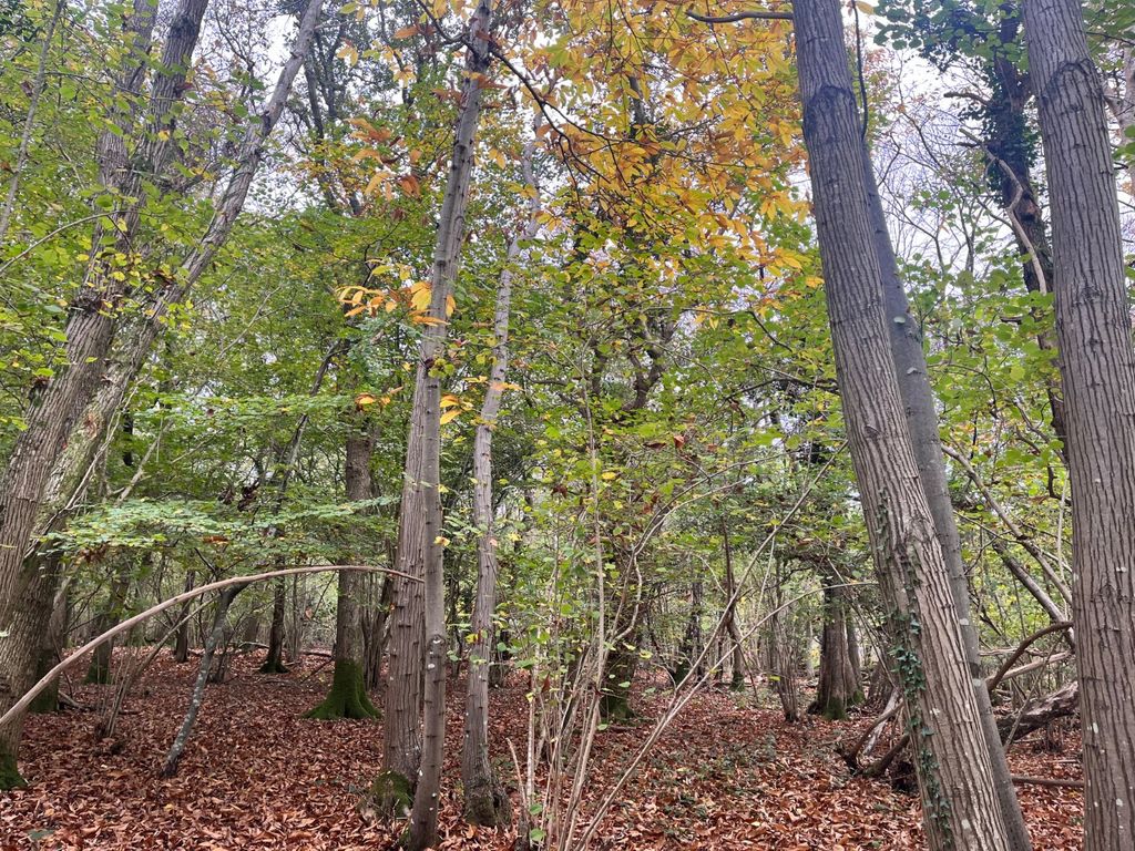 Property photo 3 of 5 Picture No. 03