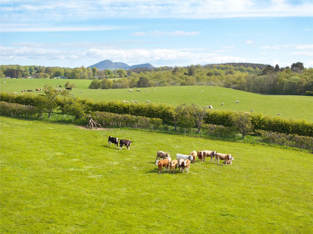 Additional image 27 of Land for saleWhitmuir, Selkirk, Scottish Borders TD7