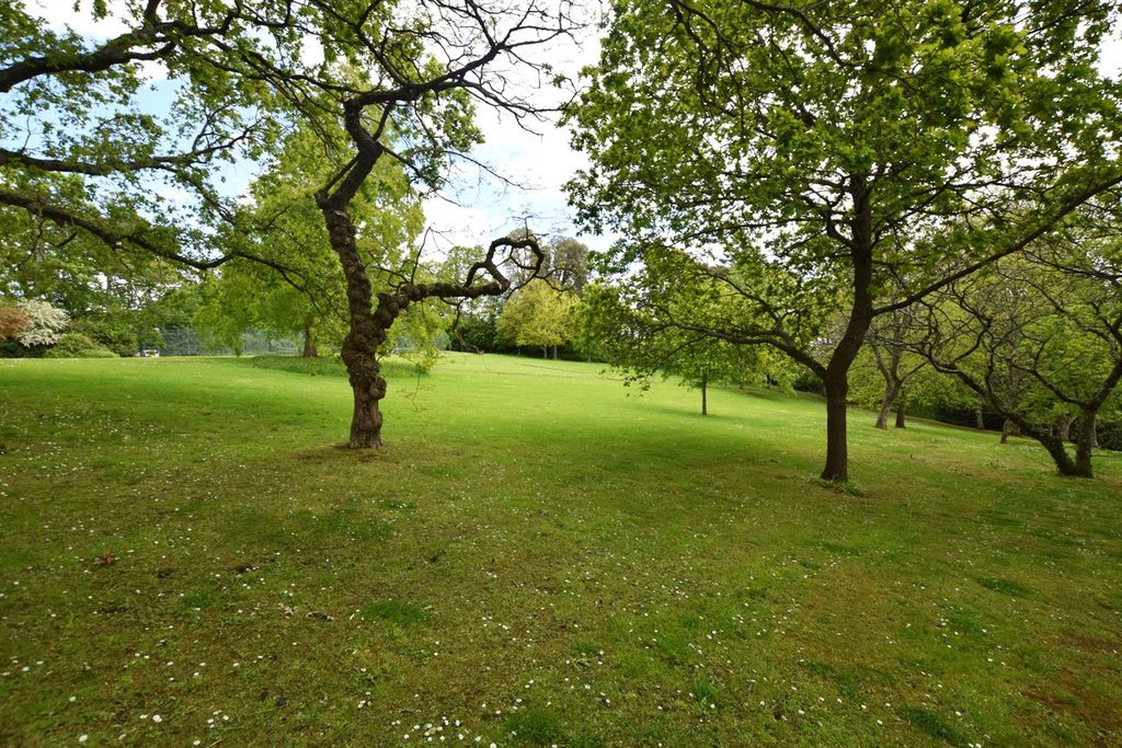 Additional image 10 of 1 bed flat to rentExwick, Exeter EX4