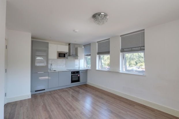 Property photo 2 of 11 Kitchen-Living Area