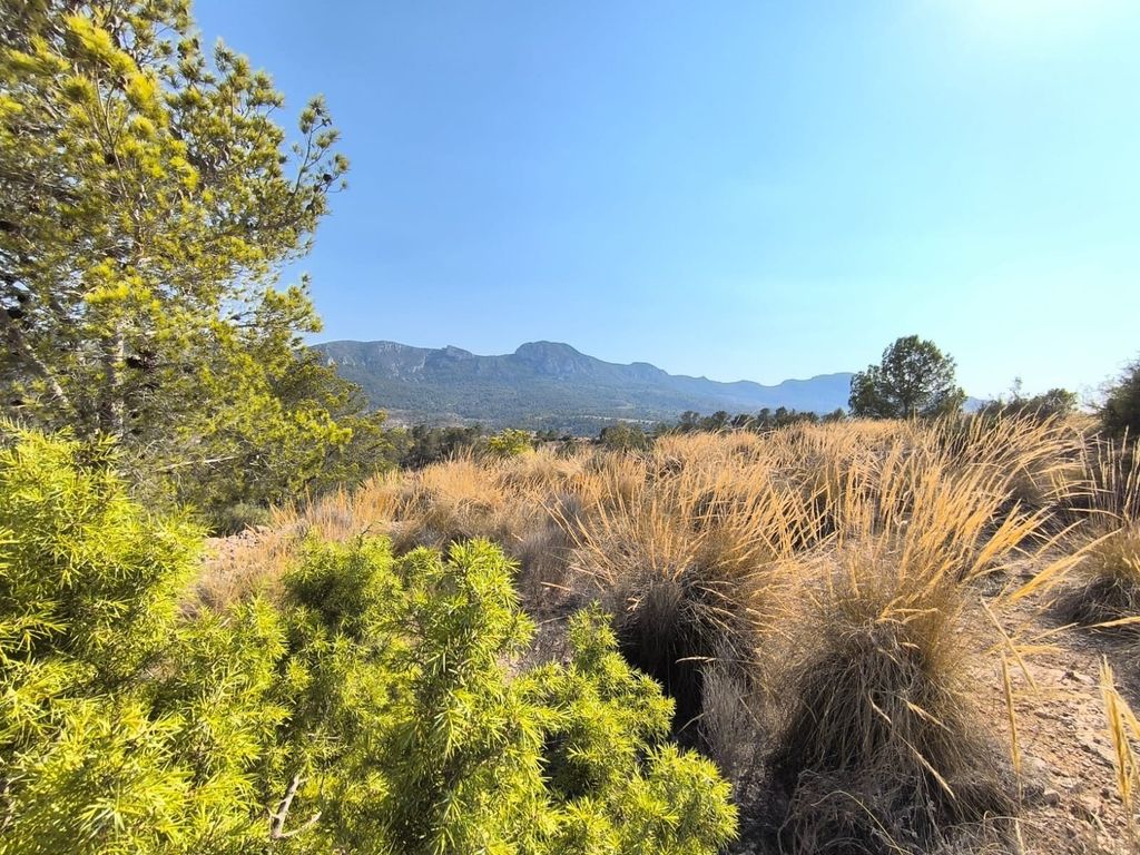 Property photo 3 of 6