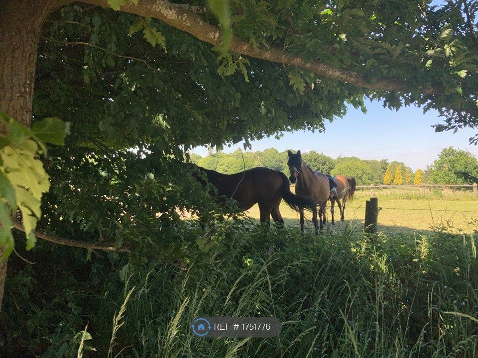 Property photo 1 of 14 Local Area And Walks