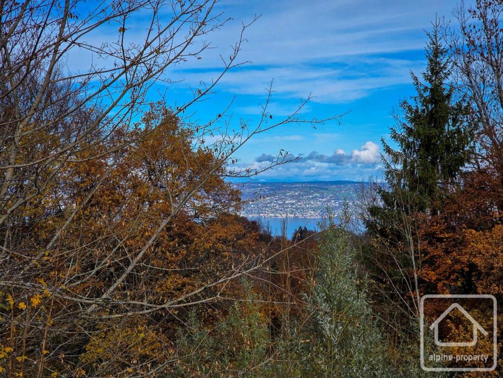 Property photo 3 of 33