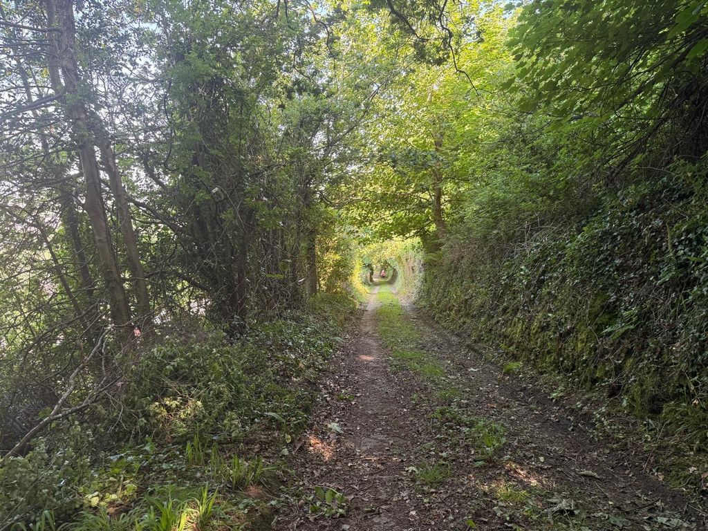 Additional image 29 of 4 bed farm for saleFernfield, Baglan, Port Talbot, Neath Port Talbot. SA12