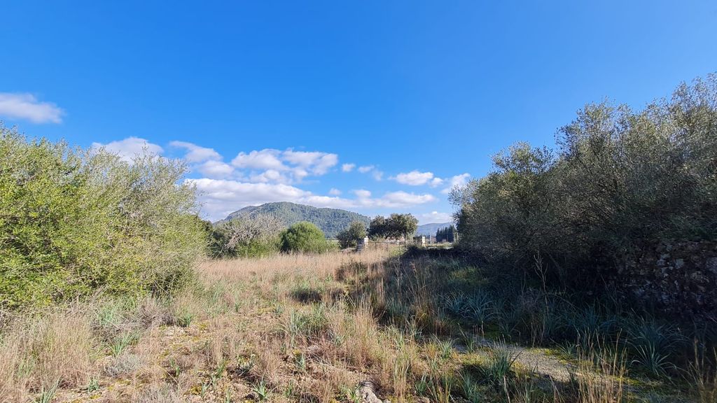 Property photo 1 of 5 7646A2Db-1E5A-4Edc-857B-Edf2Ced7F019.Jpg