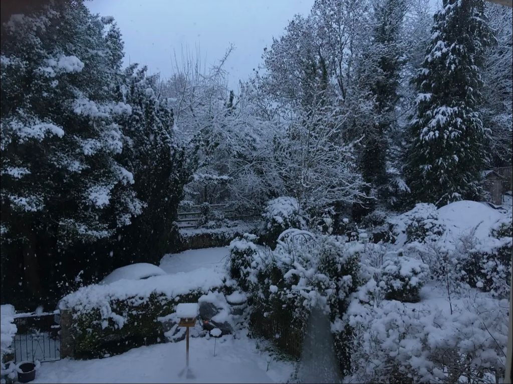 Property photo 3 of 37