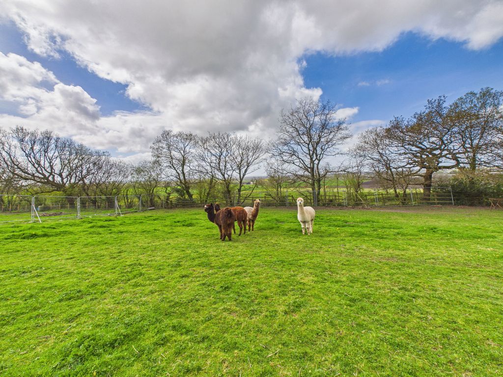 Property photo 3 of 55