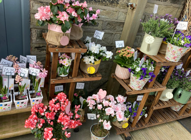 Property photo 3 of 5