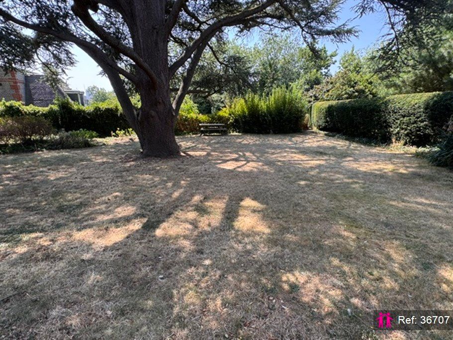 Property photo 3 of 20