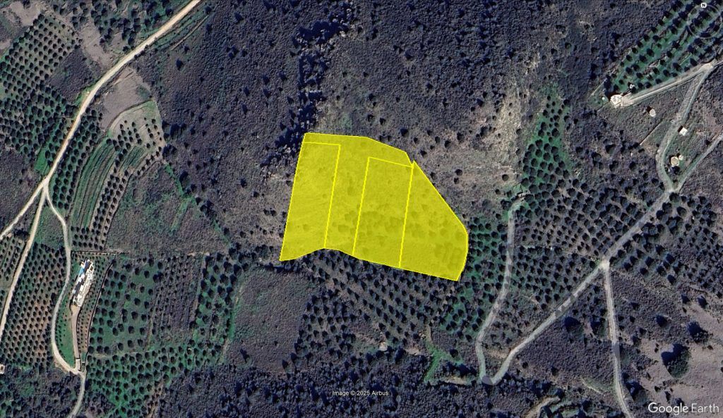 Property photo 3 of 57