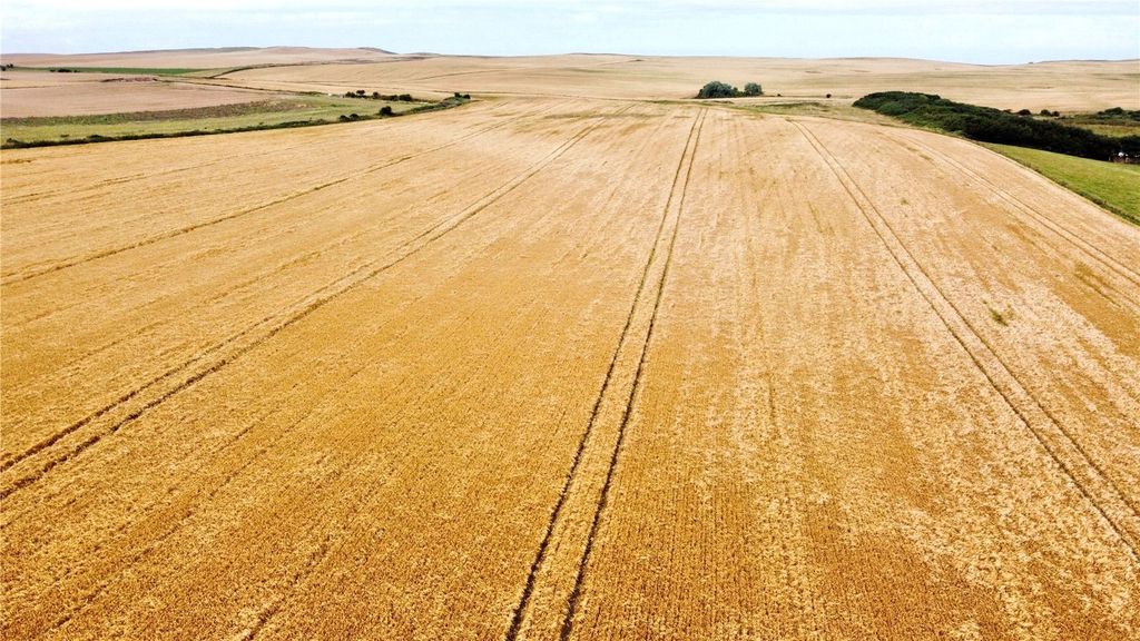 Property photo 3 of 6 Picture No. 09