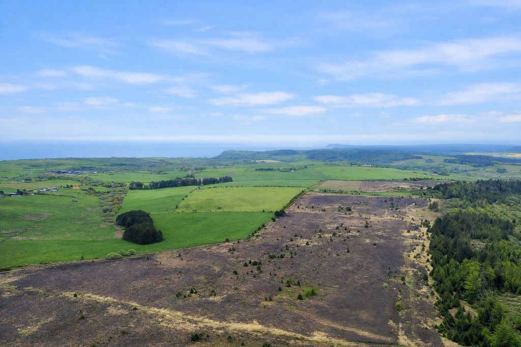 Additional image 6 of Land for sale108 Acres Staintondale, Scarborough YO13