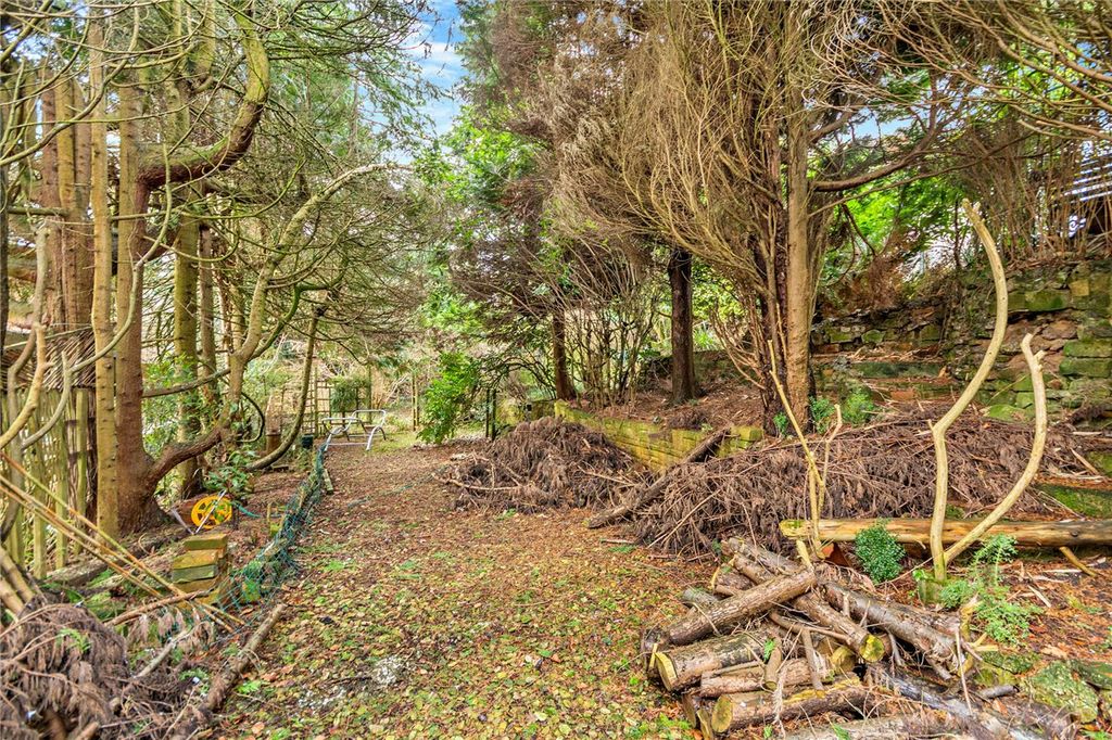 Property photo 2 of 24 Picture No. 12