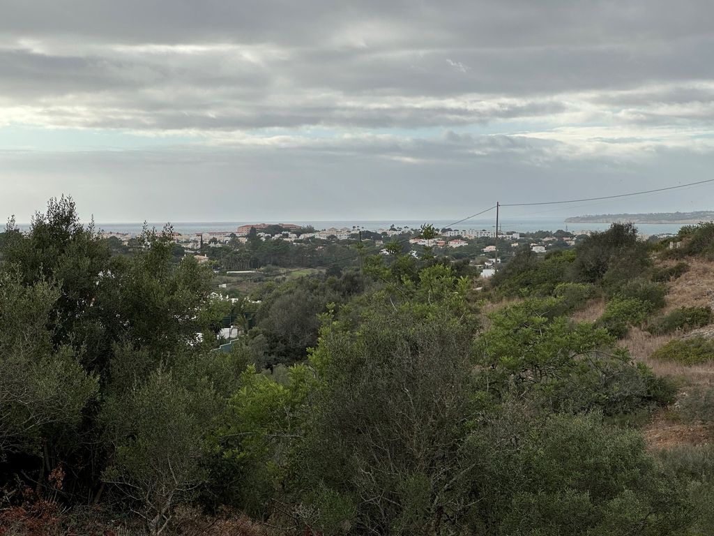 Property photo 3 of 30