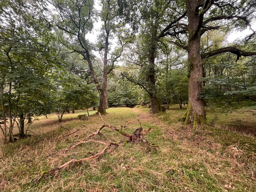 Property photo 2 of 9 Woodland 2.Jpg