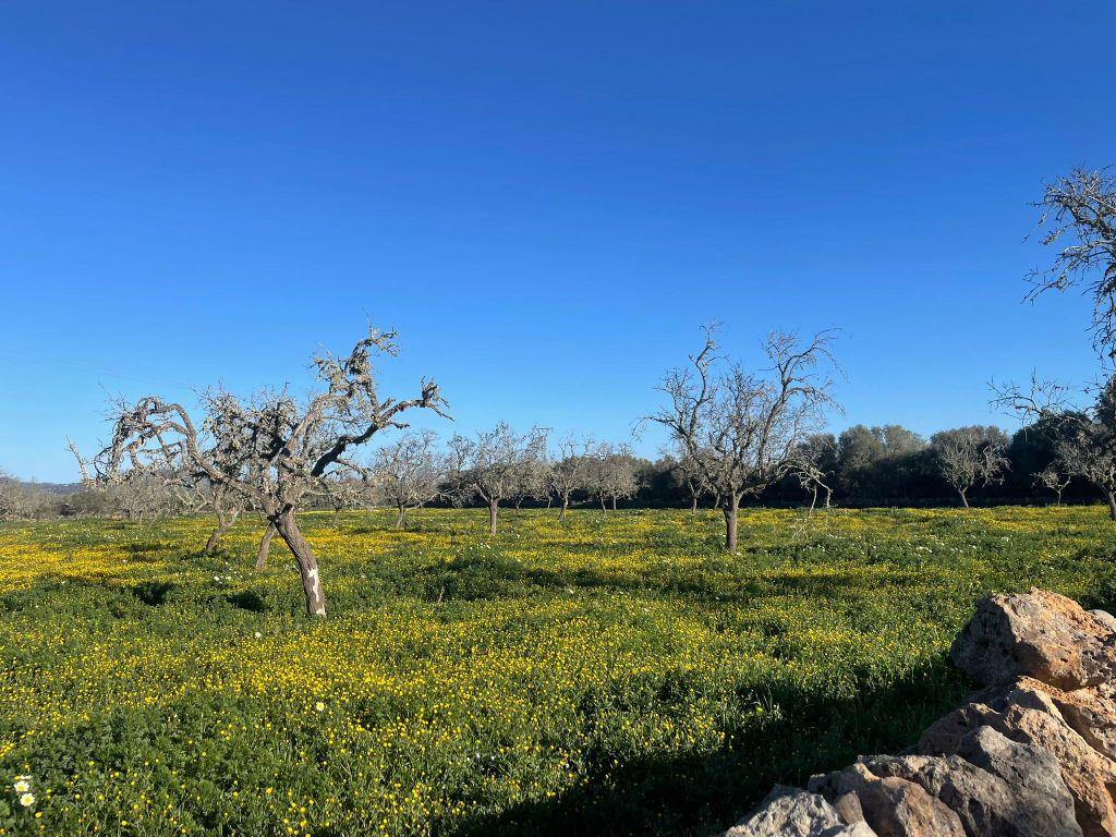 Property photo 3 of 4 02.Jpeg