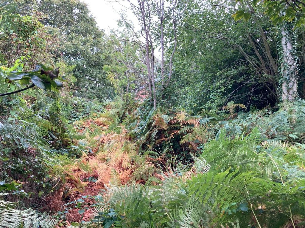 Property photo 3 of 5 Img_7456.Jpg