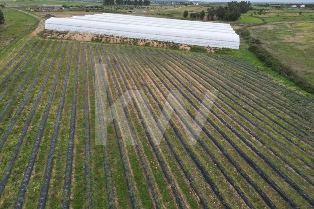 Property photo 1 of 100 Agricultural Property In Campina De Idanha-A-Nova With 20Ha In Full Activity On Ladoeiro