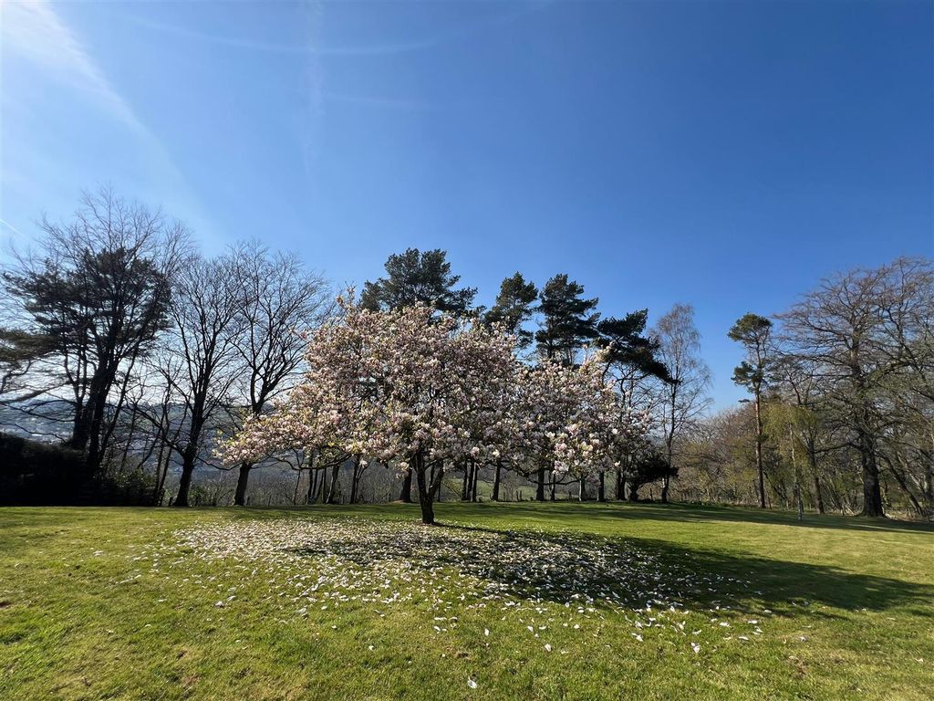 Property photo 2 of 37 Magnolia Tree