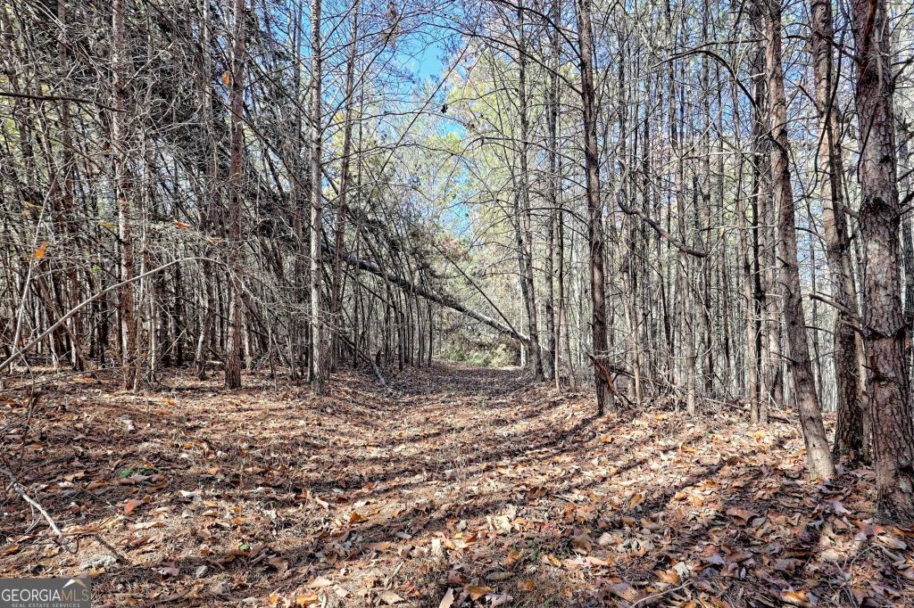 Property photo 3 of 29 <Alttext/>