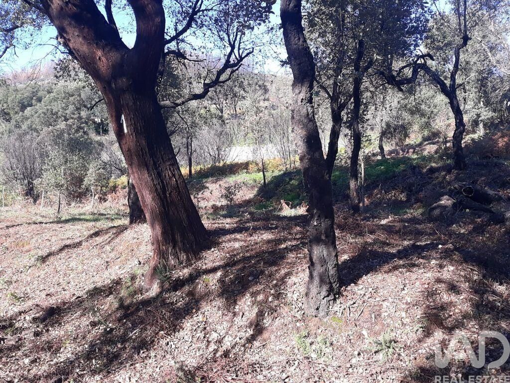 Property photo 2 of 2