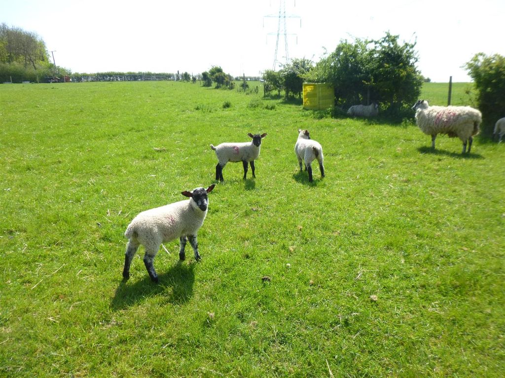 Property photo 3 of 10 Field
