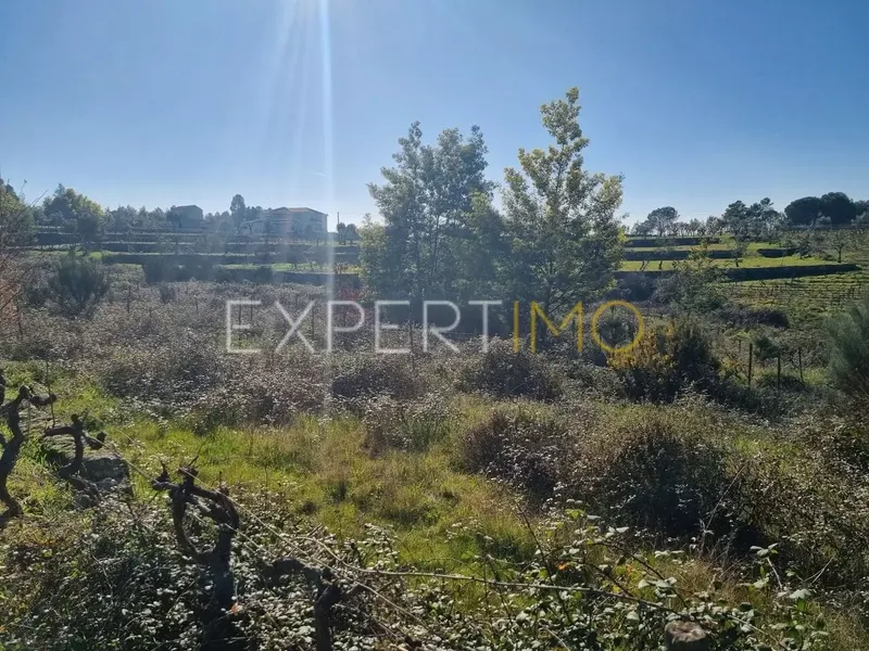 Property photo 3 of 7 Img 2