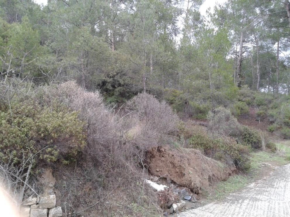 Property photo 1 of 1