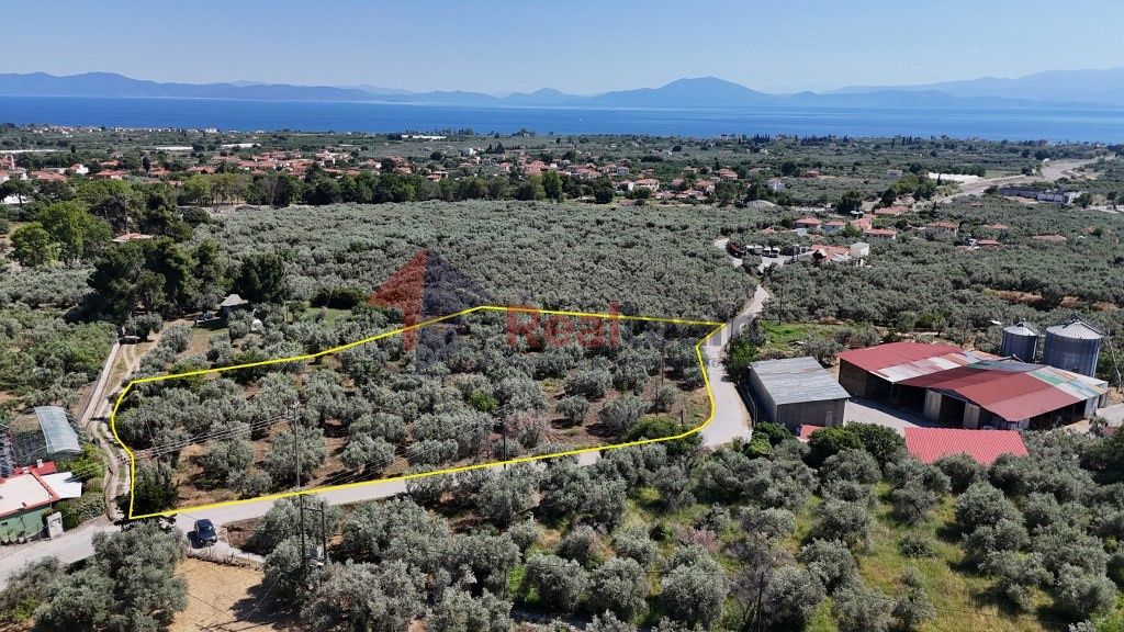 Property photo 3 of 26