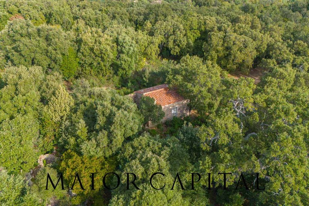 Property photo 1 of 30