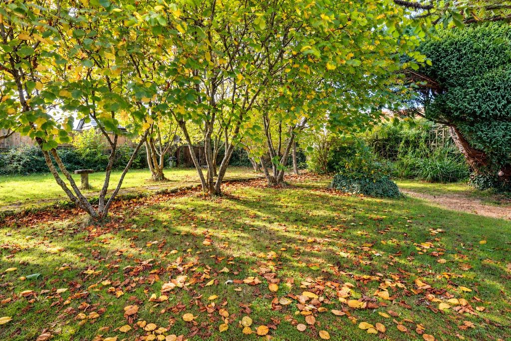 Property photo 2 of 19 Picture No. 16