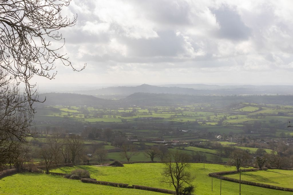 Property photo 3 of 31 4901705