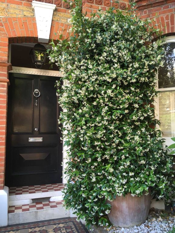 Property photo 2 of 49 Picture No. 54