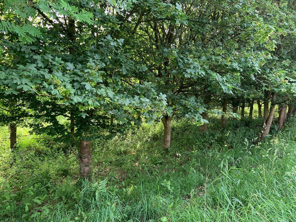 Property photo 2 of 6 Whatsapp Image 2026-06-30 At 14.29.55 (1).Jpeg