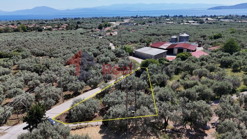 Property photo 3 of 21