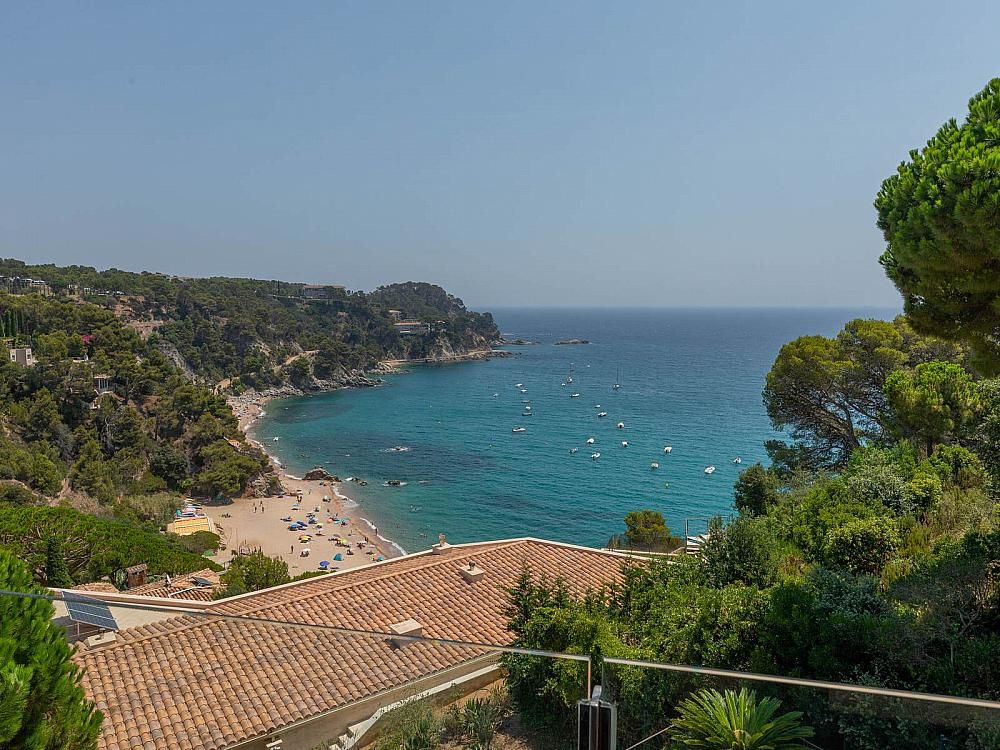 Property photo 3 of 50