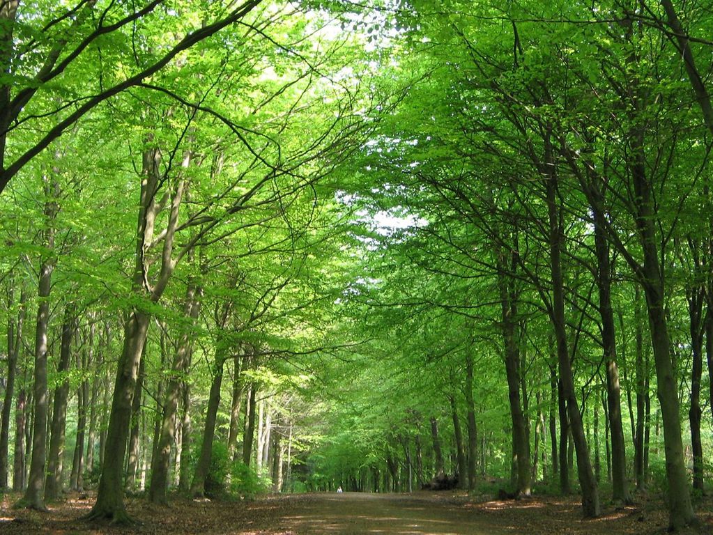 Property photo 2 of 4 Bacton Woods