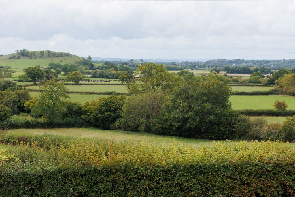 Property photo 2 of 29 4029455