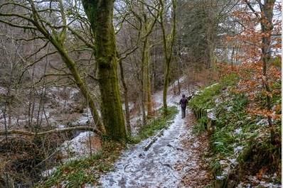 Property photo 1 of 10 Outdoor Walk.Png