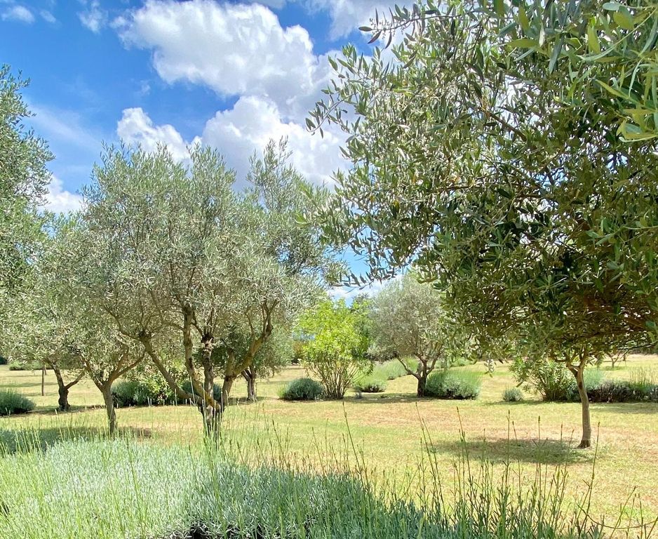 Property photo 3 of 23