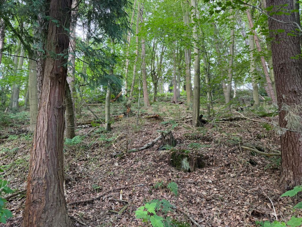 Additional image 8 of Land for sale64.17 Acres Land At Castle Farm, Greensforge Lane, Stourbridge DY7
