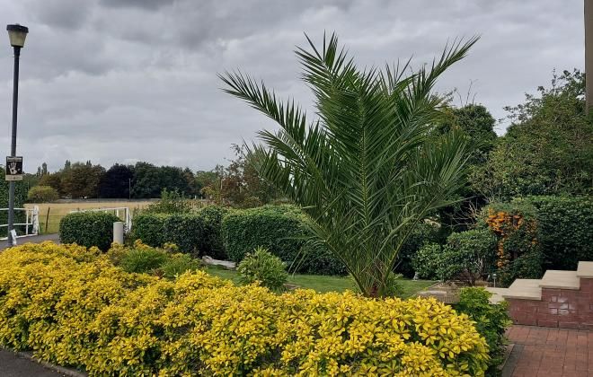 Property photo 2 of 5 Greenacres Park 