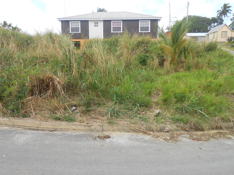 Property photo 3 of 4